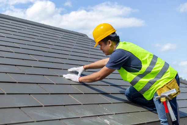 Best Roof Gutter Cleaning  in Mission, SD