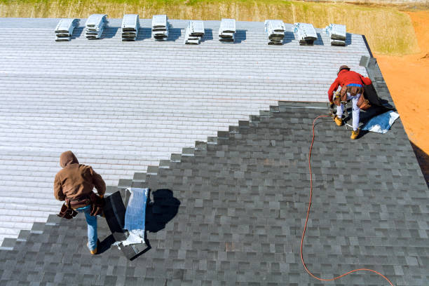 Best Roof Gutter Cleaning  in Mission, SD